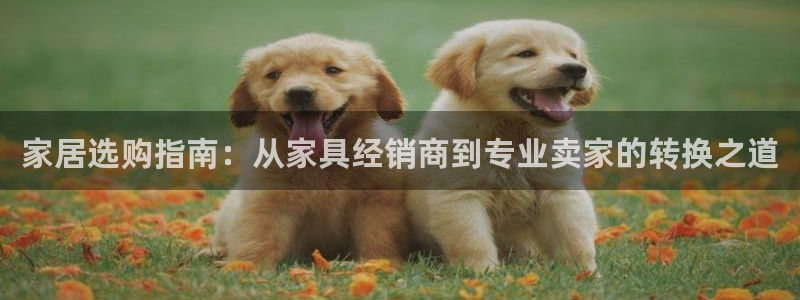 球盟会app最新地址下载安装
