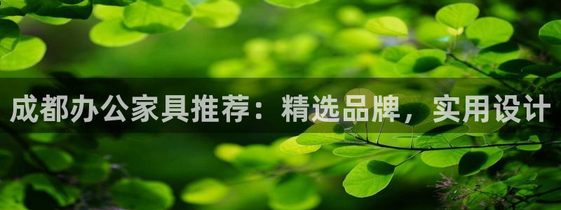 球盟会里面有打牌的嘛是真的吗