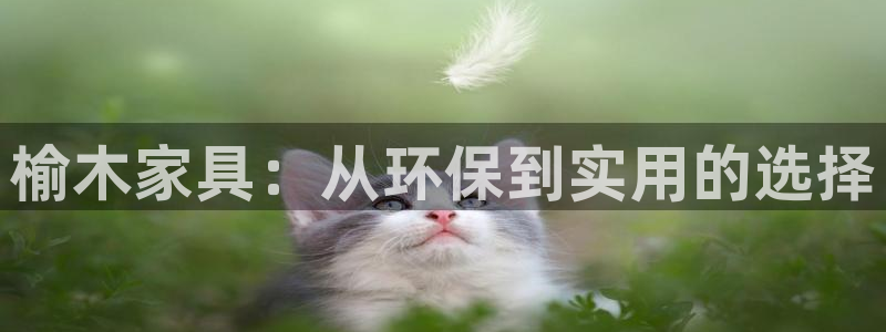 球盟会中国网页登录