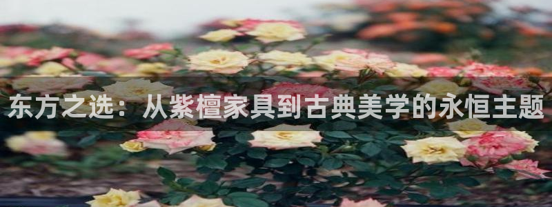 球盟会官方平台入口