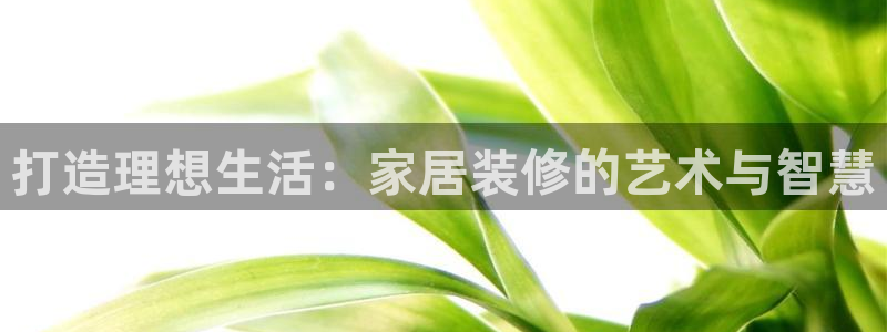 球盟会官网网页版
