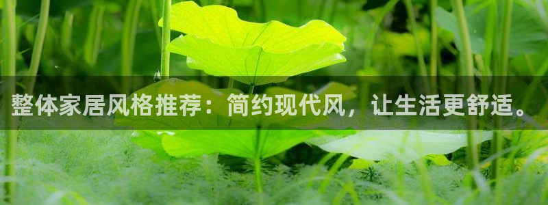 球盟会平台怎么样