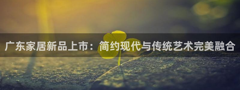 球盟会官方