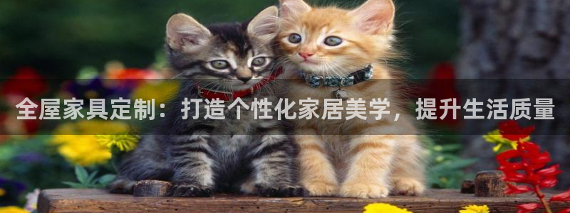 球盟会App