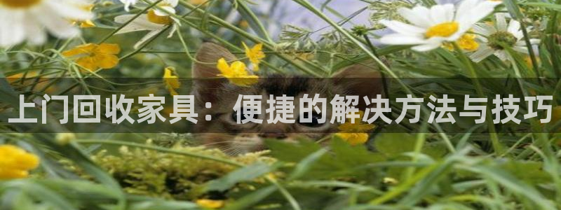 球盟会(中国)官方网站