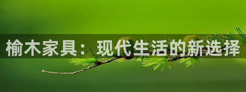 球盟会有没有黑单的球员