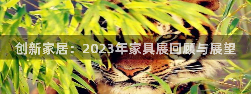 球盟会App