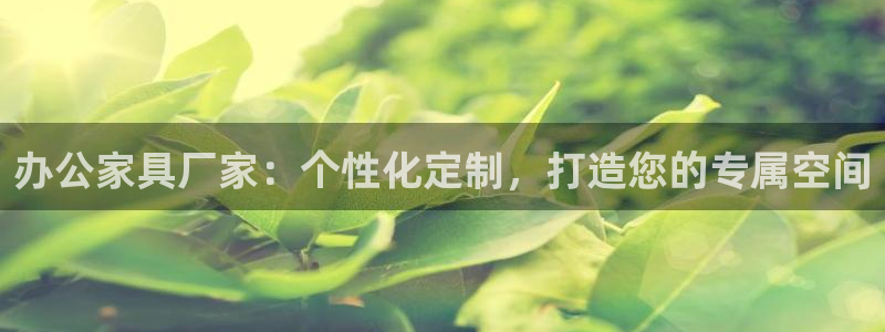 球盟会官网登录入口