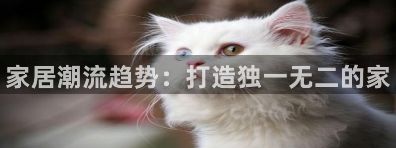 球盟会黑