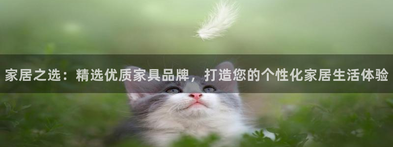 球盟会连接