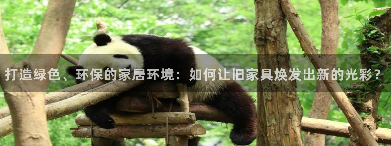 球盟会官方网站app