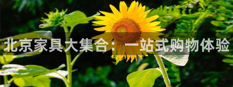 球盟会能提现吗安全吗