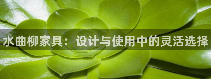 球盟会优惠领取网站