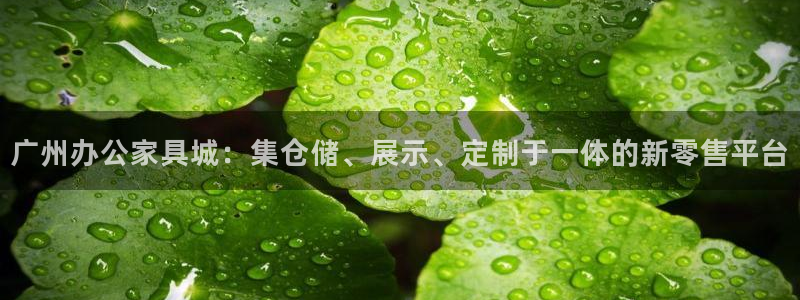 球盟会和中欧会的区别