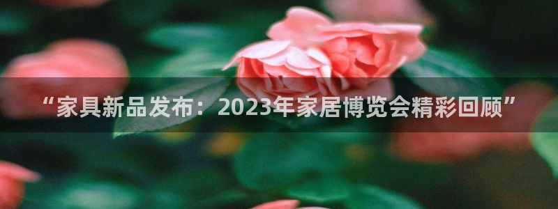 球盟会电子好黑