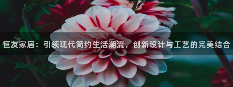 球盟会乐虎