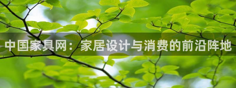 球盟会和中欧会的区别：中国家具网：家居设计与消费的前沿阵地
