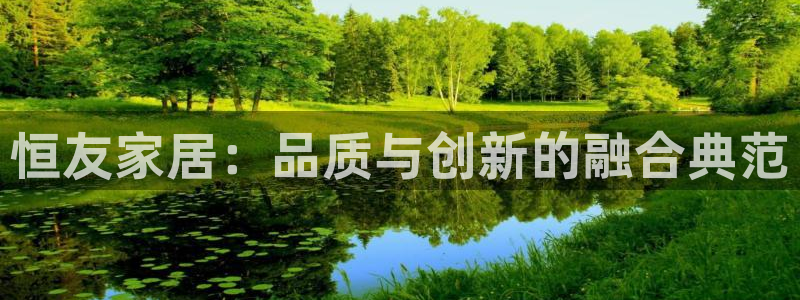 球盟会官方下载：恒友家居：品质与创新的融合典范