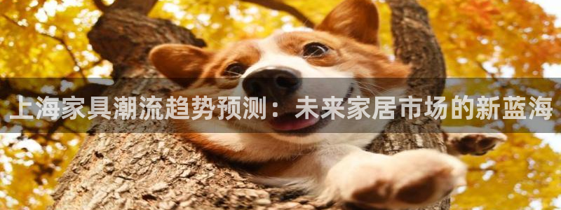球盟会官方版下载地址