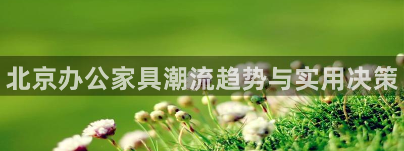 球盟会有限公司怎么样