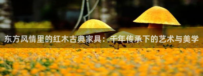 球盟会登陆中心