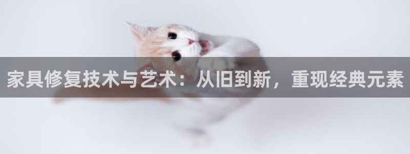 球盟会登陆中心