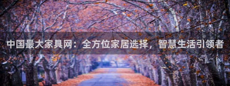 球盟会中国官方网站