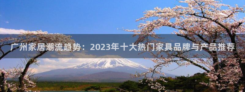 球盟会下载最新版