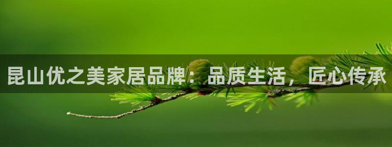 球盟会黑
