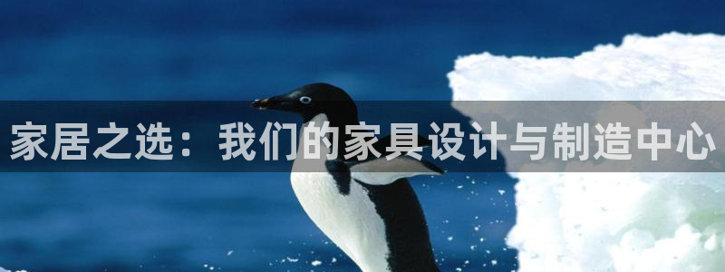 球盟会app入口