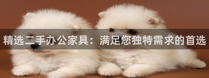 球盟会官方网站