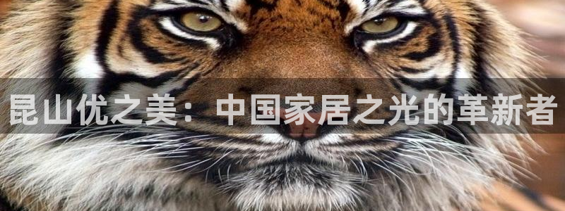 球盟会官方平台入口