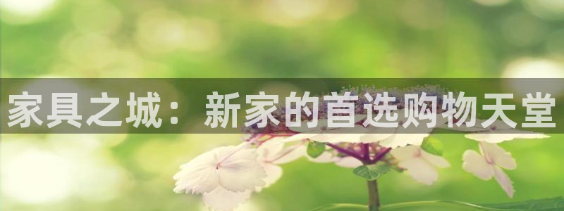 球盟会黑嘛