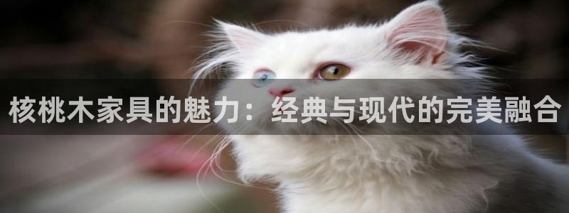 球盟会几点玩合适