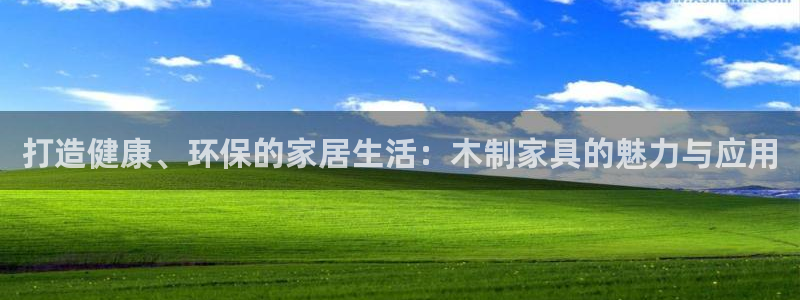 球盟会qm9