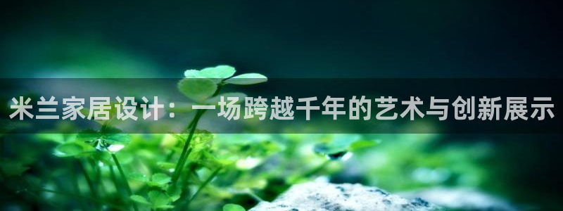 球盟会黑台