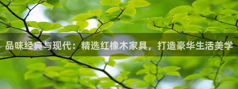 球盟会国际官网