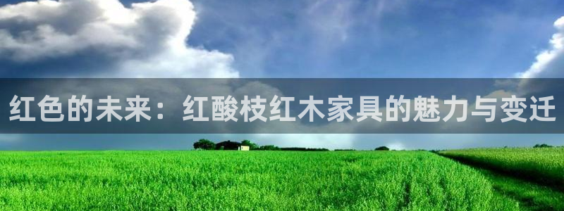 球盟会官方网址入口