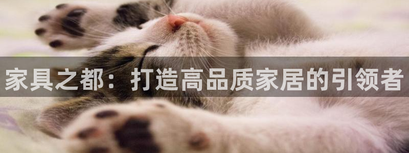 球盟会黑钱
