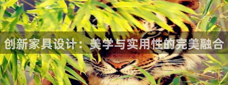 球盟会app入口