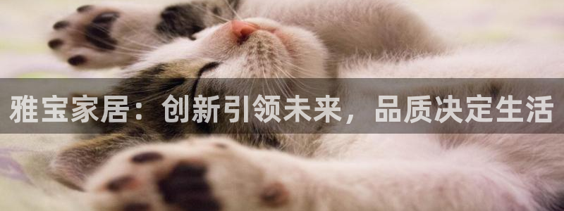 球盟会官方网址入口