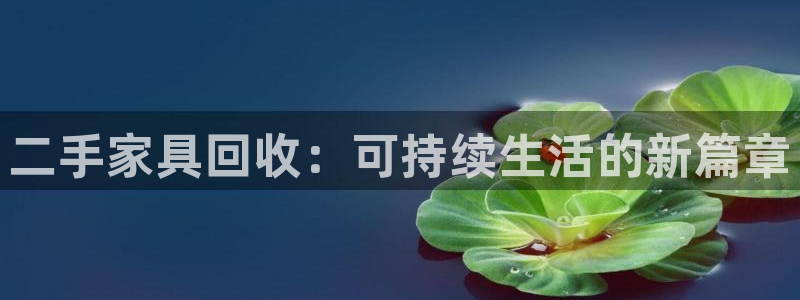 球盟会里面有打牌的嘛是真的吗