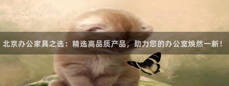 球盟会APP最新地址