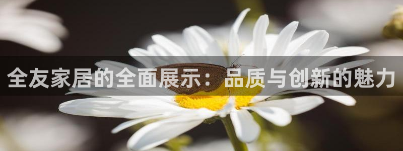 球盟会体验金