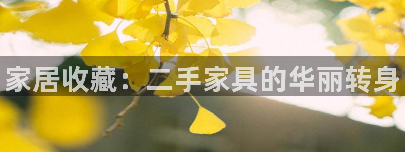球盟会可以提现么现在