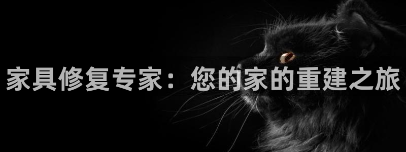 球盟会有限公司怎么样