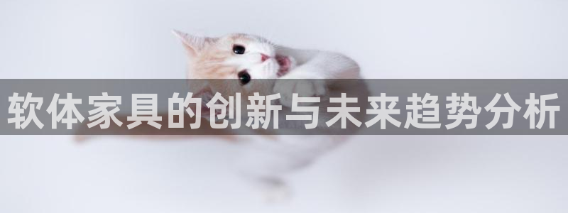 球盟会可靠不