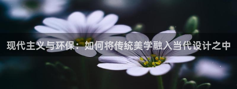 球盟会App：现代主义与环保：如何将传统美学融入当代设计之中