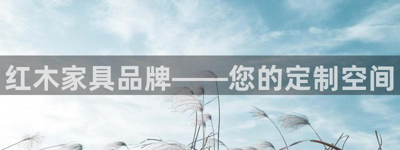 球盟会里面有打牌的嘛知乎