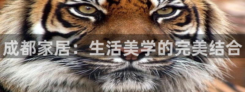 球盟会网页版登陆